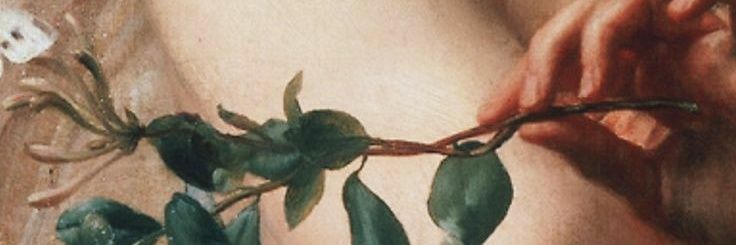 🌿BeKILL banner