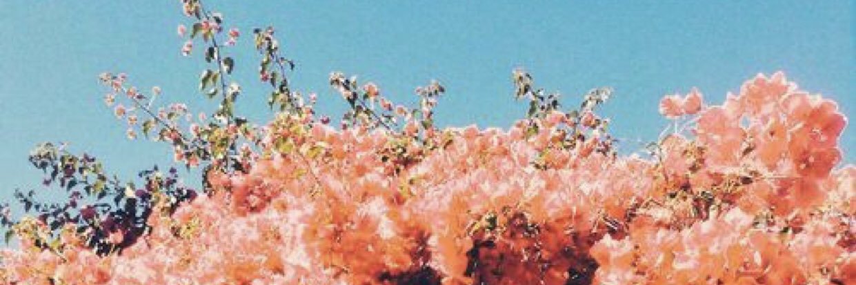 Florierone's profile banner image