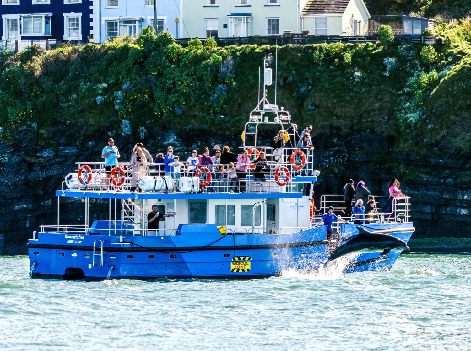 DolphinSpotting's profile banner image