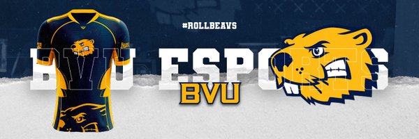 BVU Esports Profile Banner