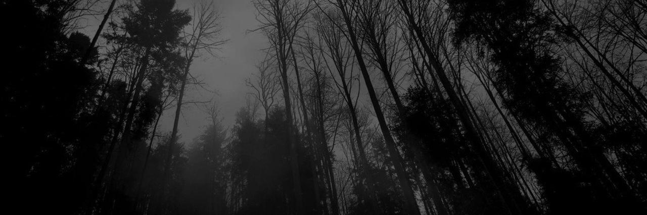 embarased's profile banner image