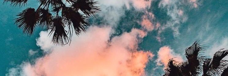 daianafranco_'s profile banner image