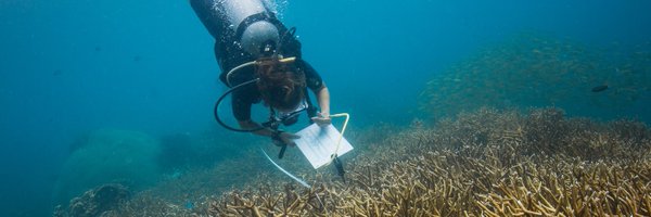 _MeerWissen Profile Banner