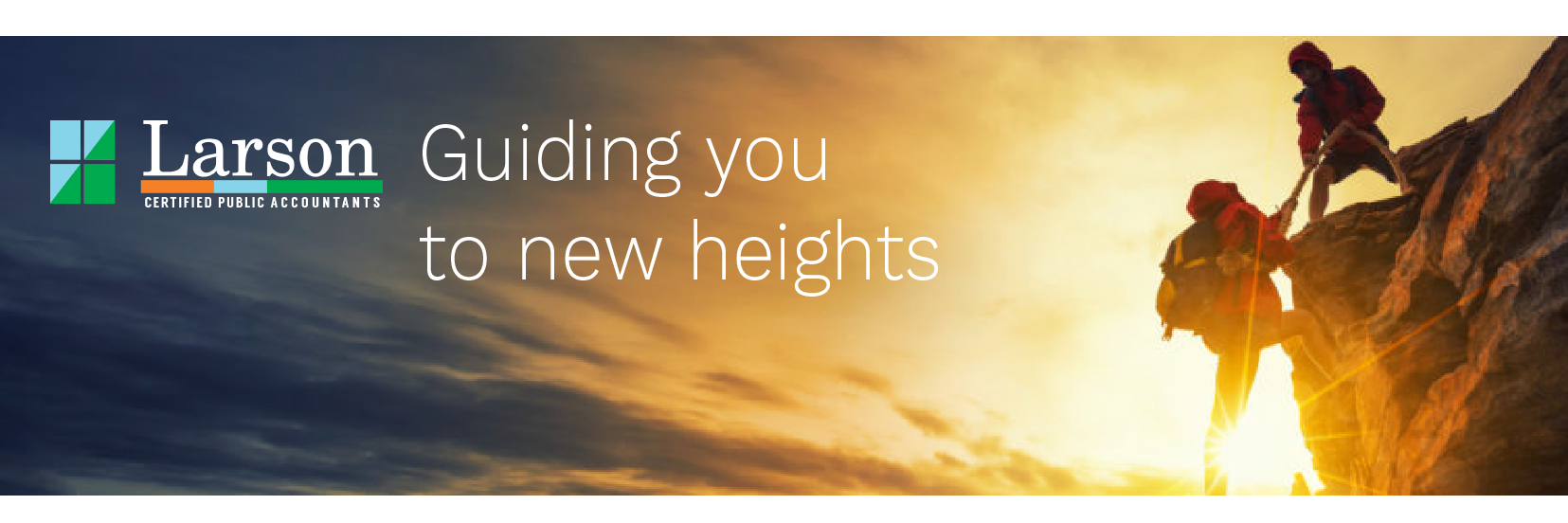 Larson & Company banner