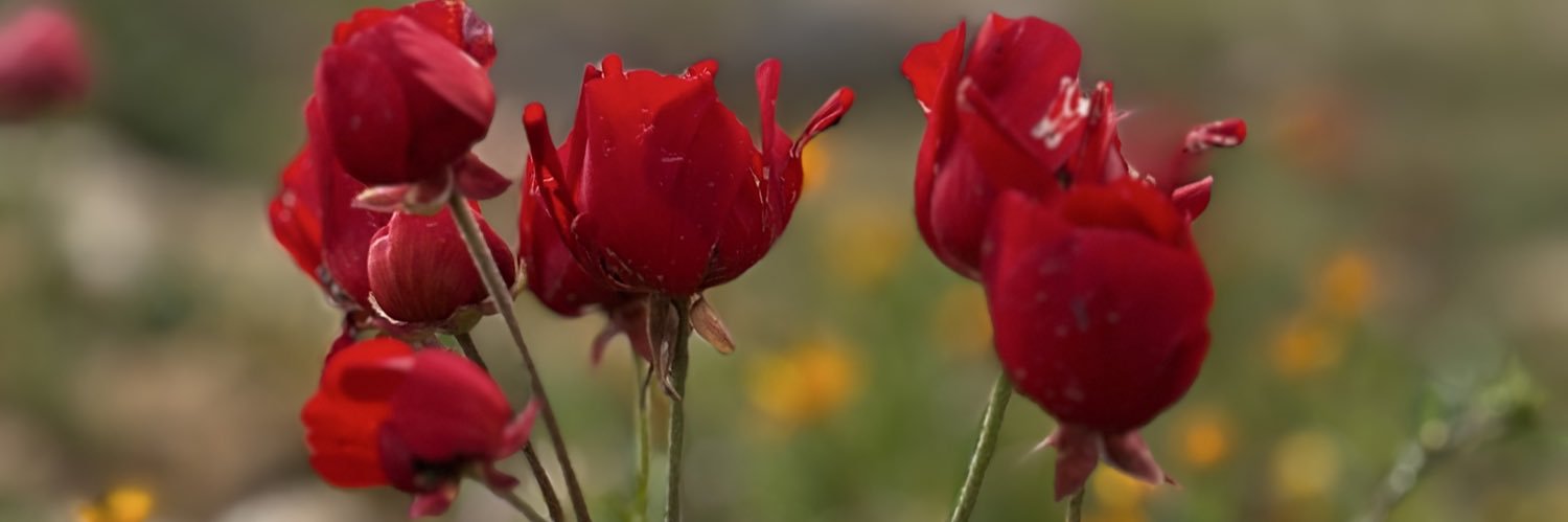 ‏﮼عقروبه ﮼كود ‏﮼لسع🦂 banner