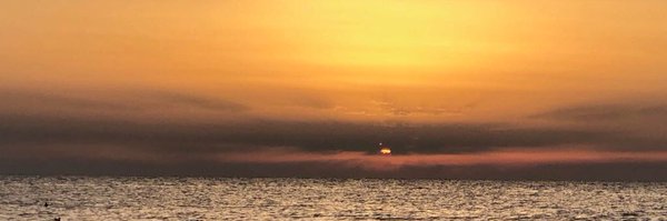 LoggheYoeri Profile Banner