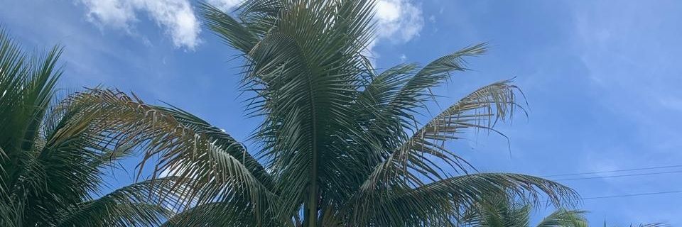 godnessrhay's profile banner image