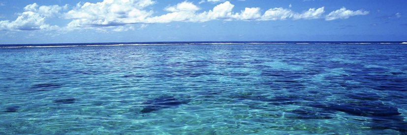 JamieSpadoni's profile banner image