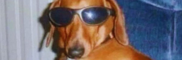 radicallysoft Profile Banner