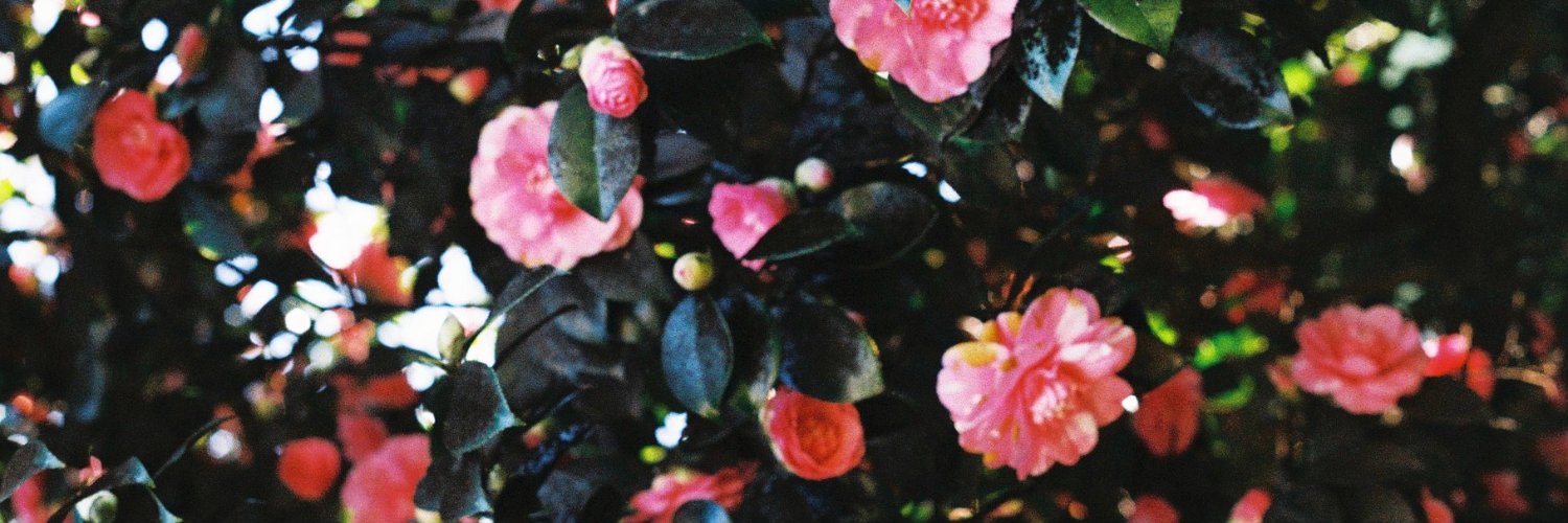 conytto's profile banner image