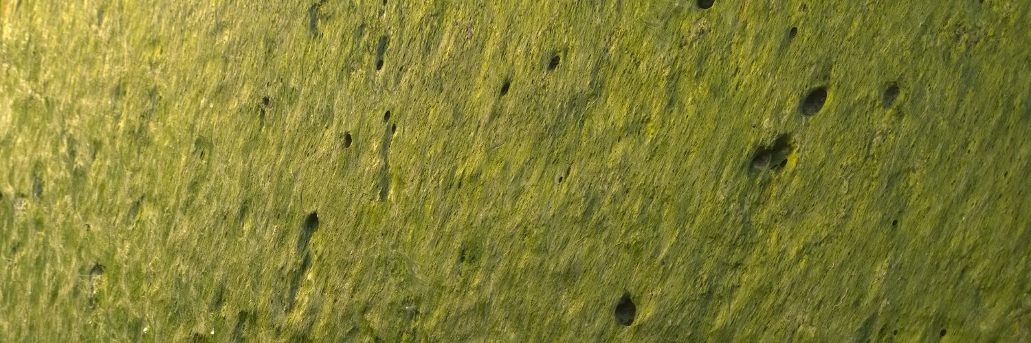 Reinis_B_sides's profile banner image