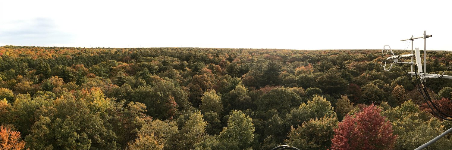 Ingo Ensminger banner