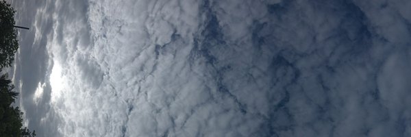 Yashodhara1010 Profile Banner