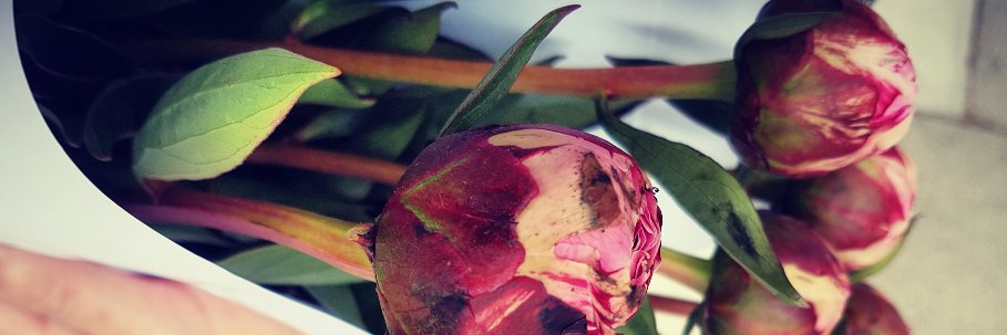 Addicted to Fashion banner