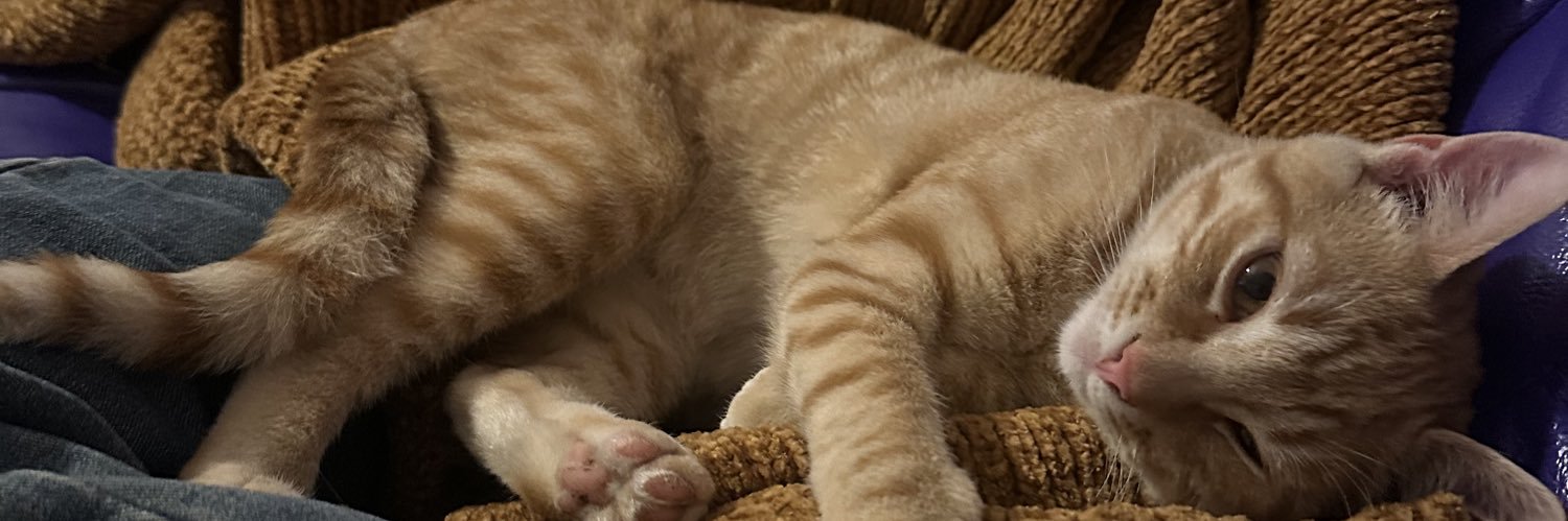 newswimx's profile banner image