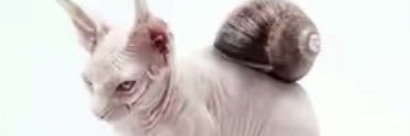 Blorg banner
