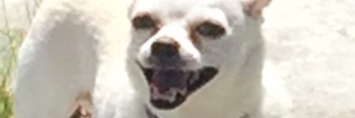bbie_gp's profile banner image