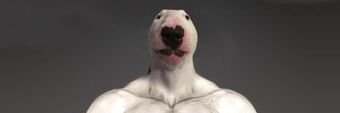 WalterWednsday's profile banner image