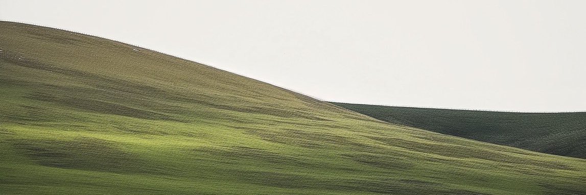 thand_yy's profile banner image