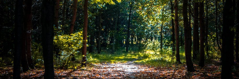 sparham_w's profile banner image