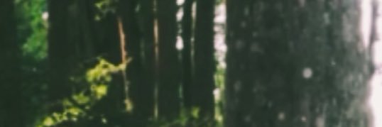 vinteetres's profile banner image