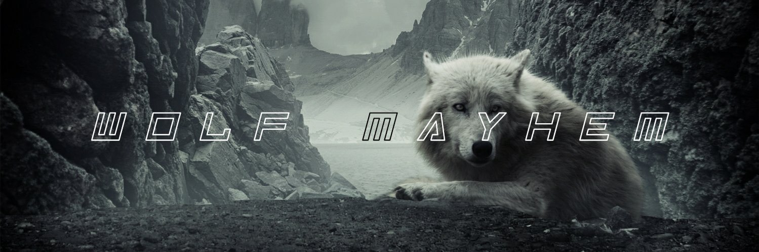 WolfGangMayhem banner