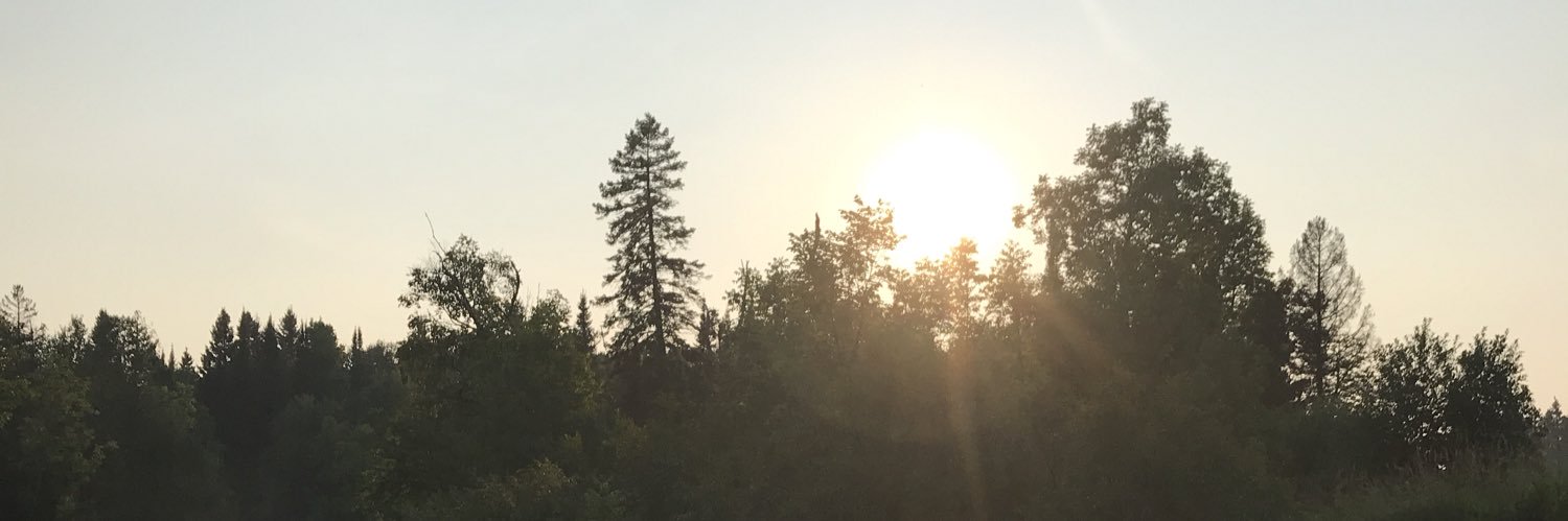 _cailinmae_'s profile banner image
