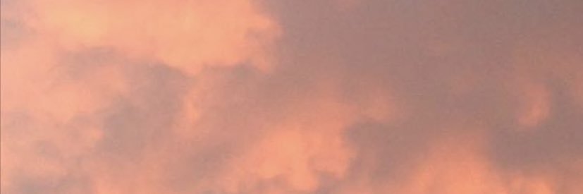 TaylorAlba_'s profile banner image