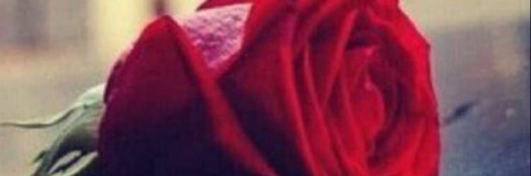 za_rama's profile banner image