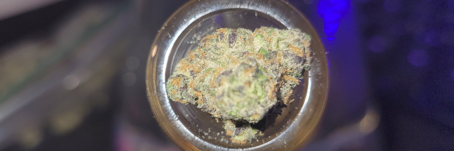 Woey 😶‍🌫️😶‍🌫️ banner