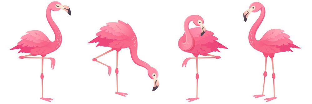emily_janssen's profile banner image