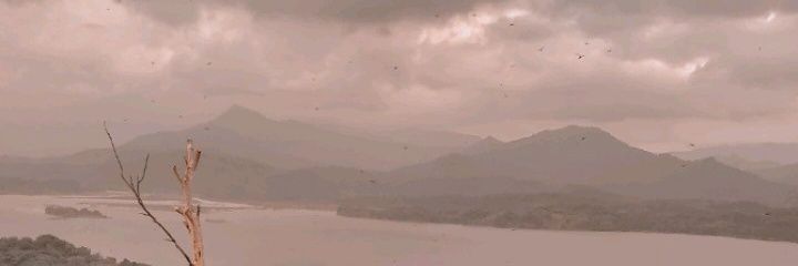 stchrnrbb's profile banner image