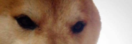 inactive900000's profile banner image