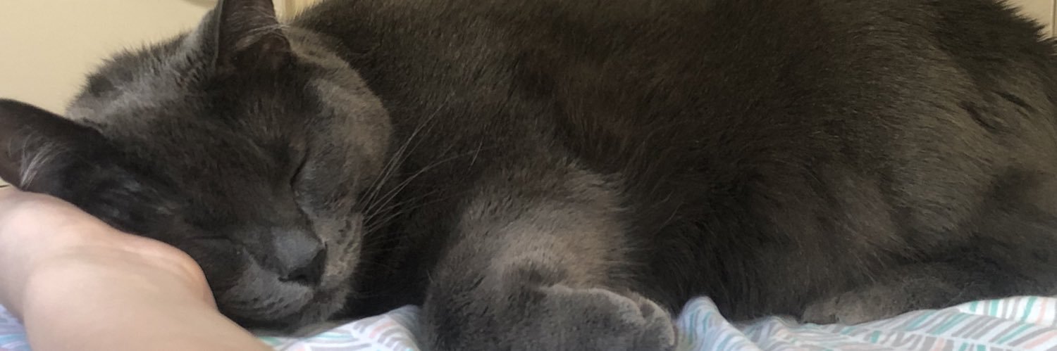 meeeeeeeeeeooooowwww banner