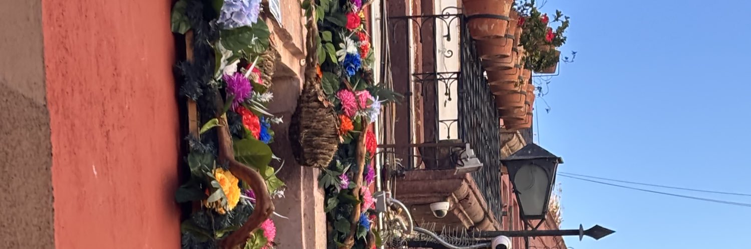 majogarvall's profile banner image
