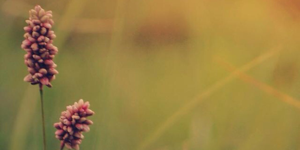 roalvarez3's profile banner image