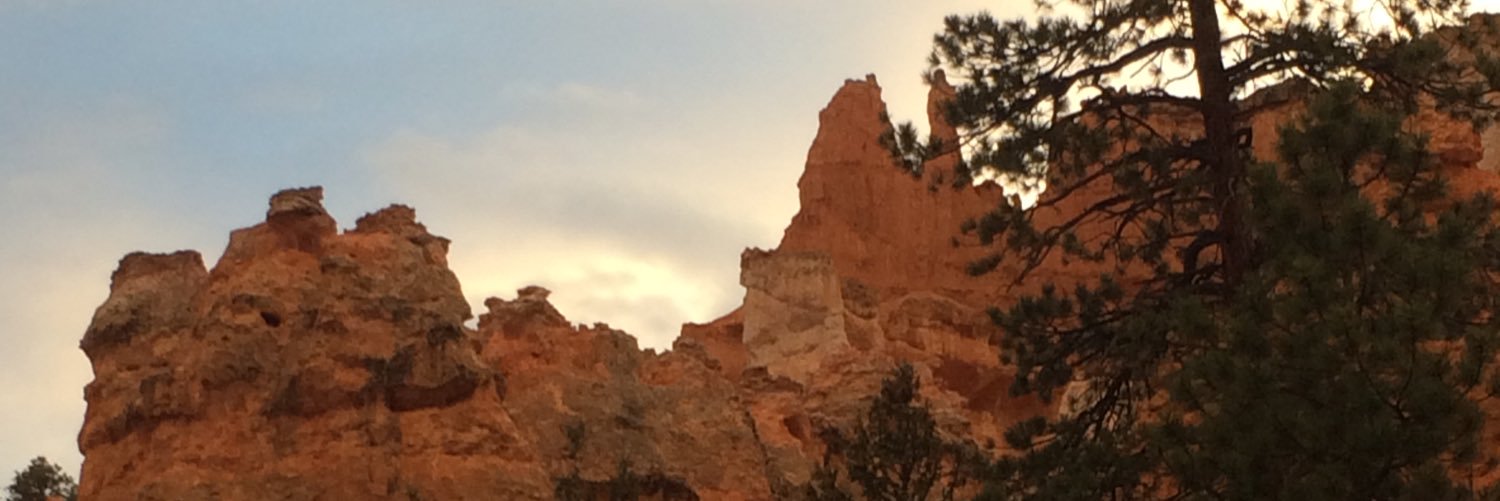 jamaya273's profile banner image
