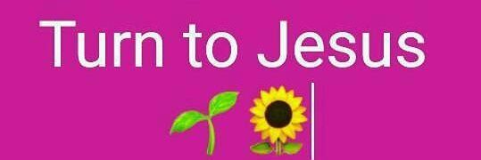 Pink_MeeSheeli's profile banner image