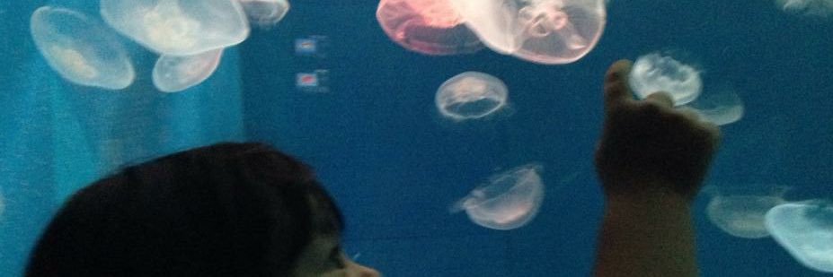 Errie@BMSG箱推し🍏も好き banner