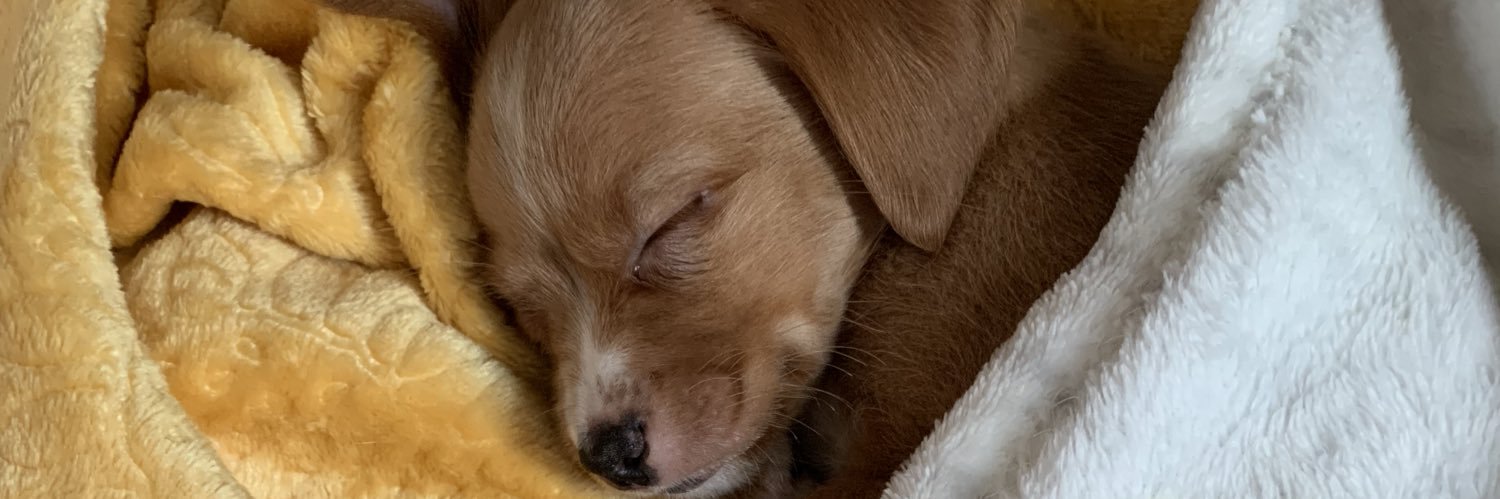 jessecataggart's profile banner image