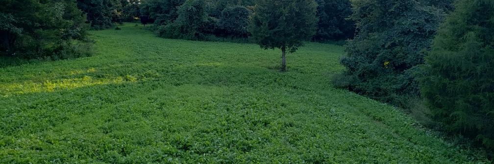 Jon Nicholson banner