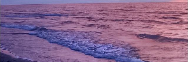 Michii_CV's profile banner image