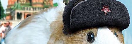 naoquemeimporte's profile banner image