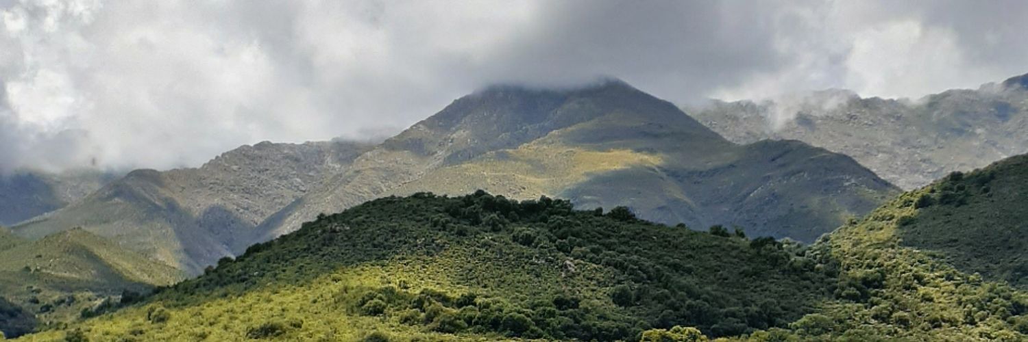 agosfarias_'s profile banner image