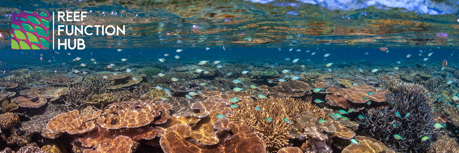 Reef Function Hub banner