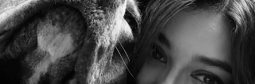 mariferglls's profile banner image