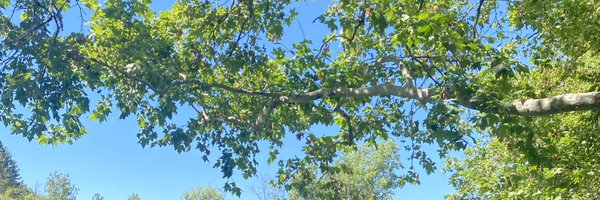 jiminmun_ Profile Banner