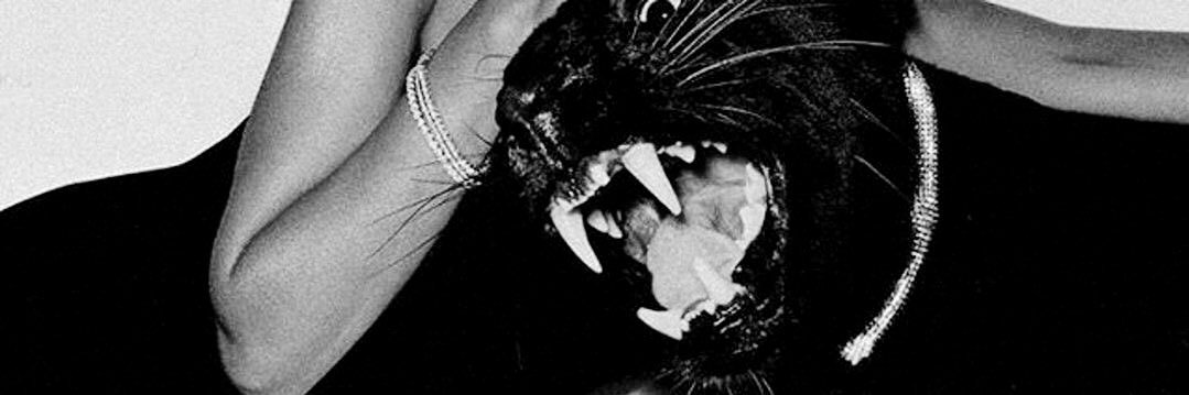 el banner