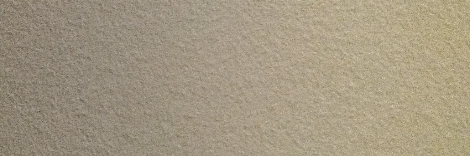 ana banner