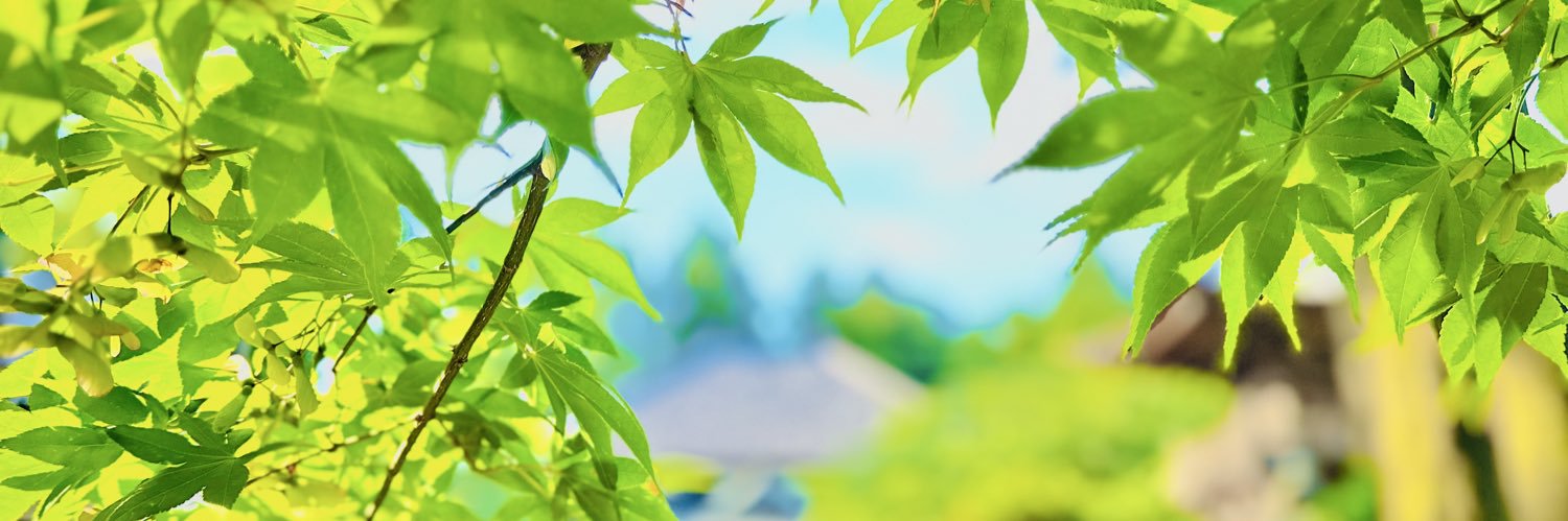 夜月@取引垢twpf banner